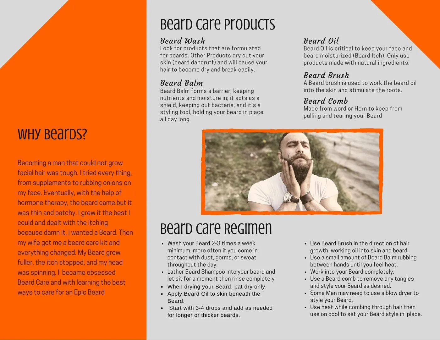 Beard Care Guide brochure inside: products, why beards and a care regimen