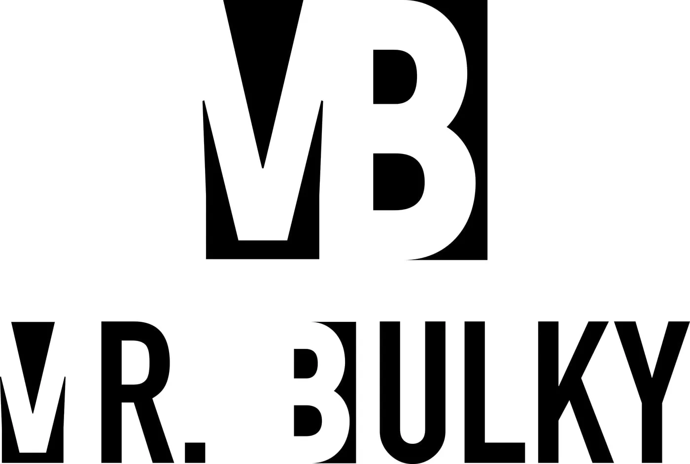 MR. BULKY